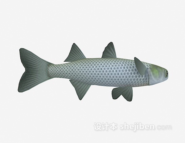 草鱼3d模型下载