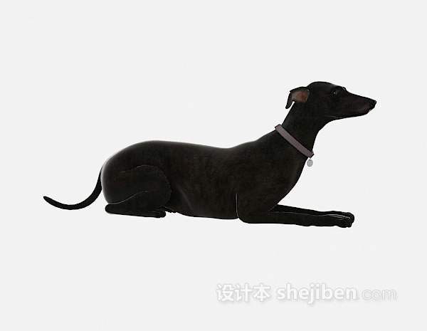 现代风格黑色狗动物 3d模型下载