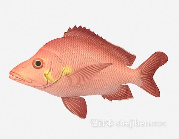 设计本红色的鱼3d模型下载