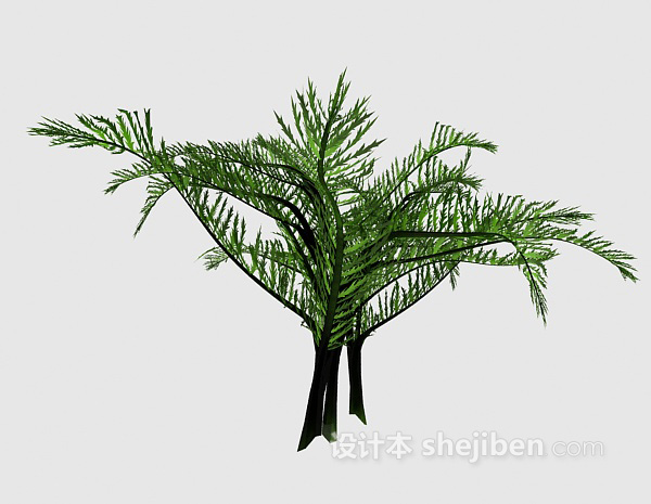 设计本蕨类植物3d模型下载