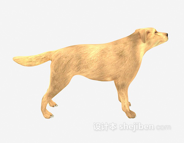 现代风格狼狗动物 3d模型下载