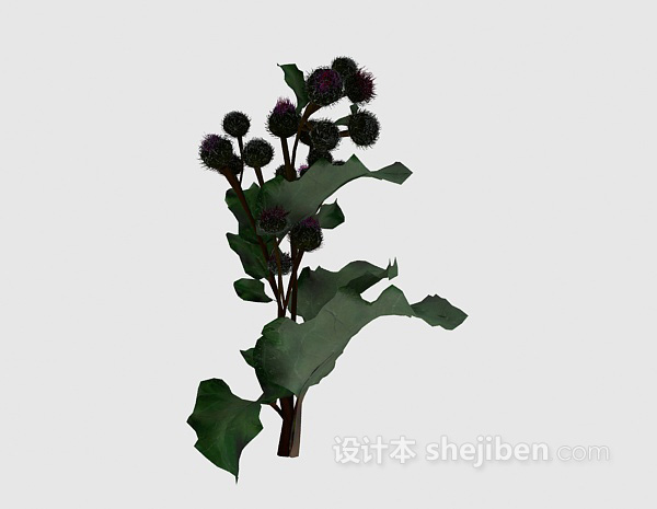 免费室外植物3d模型下载