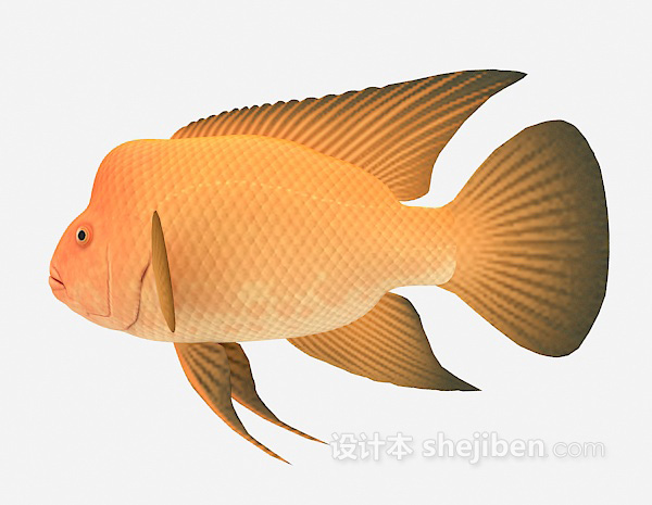 免费黄色鱼3d模型下载