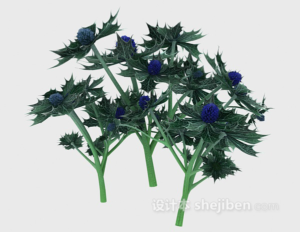 室外针形叶子植物3d模型下载