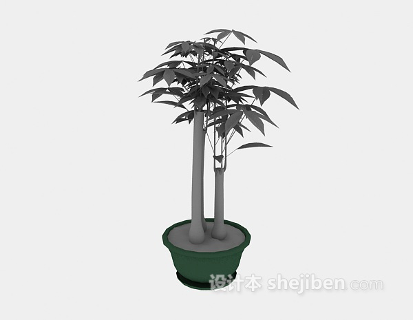 免费植物盆栽3d模型下载