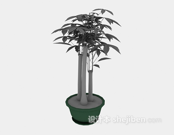 现代风格植物盆栽3d模型下载