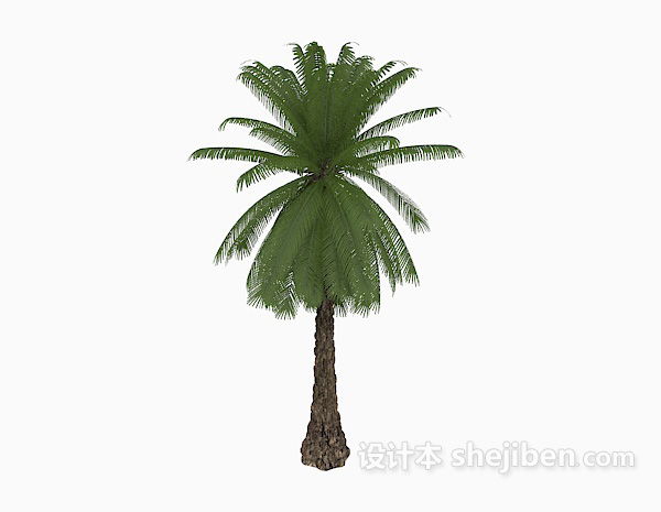 免费棕榈树3d模型下载