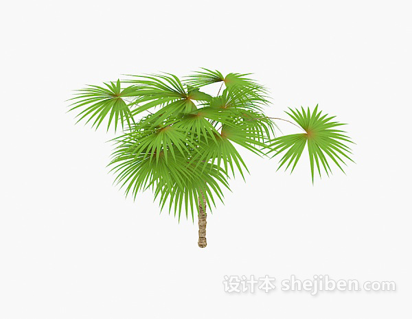 免费绿色棕榈树3d模型下载