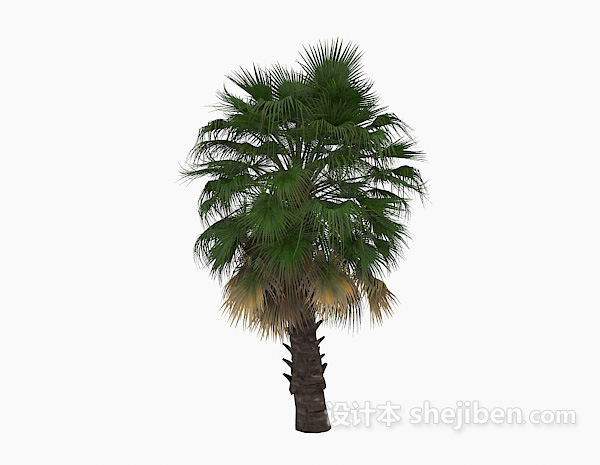 现代风格棕榈植物花草3d模型下载
