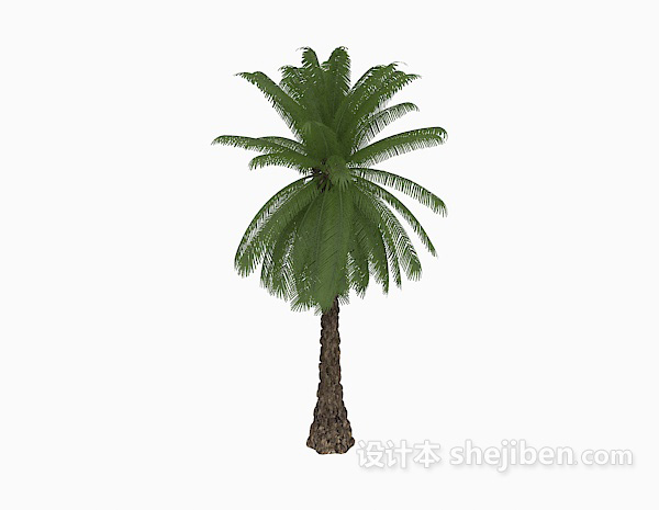 现代风格棕榈树3d模型下载