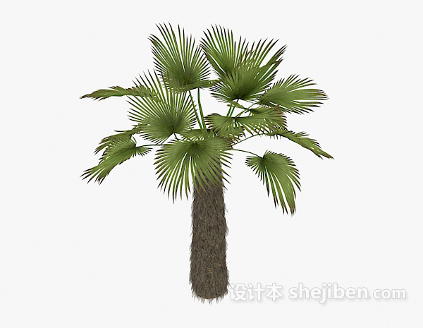 现代风格棕榈植物3d模型下载