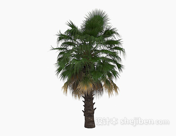 免费棕榈植物花草3d模型下载