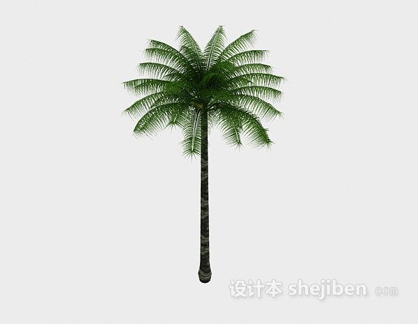 热带棕榈3d模型下载