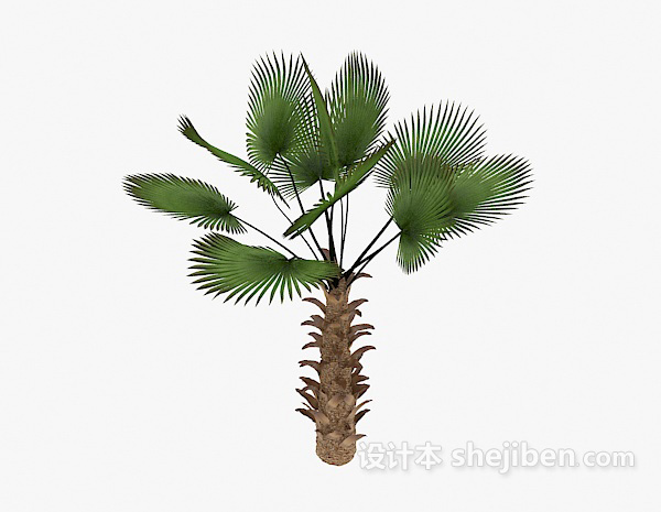 免费植物棕榈树3d模型下载
