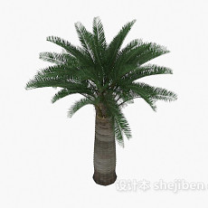 棕榈树植物3d模型下载