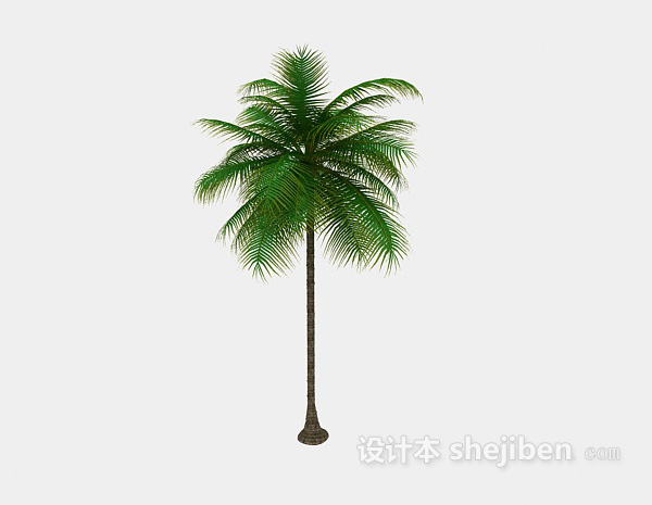 免费一株热带棕榈3d模型下载