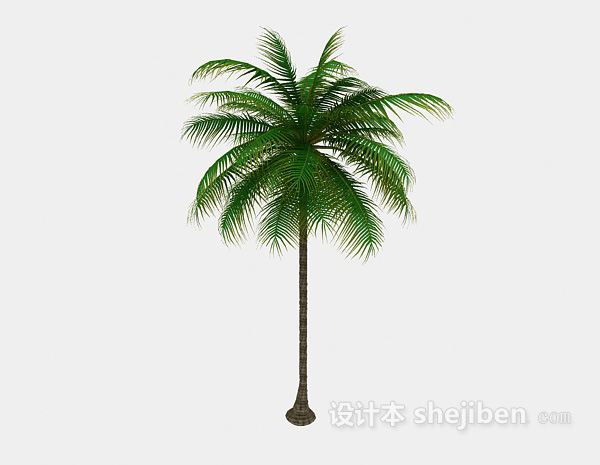 东南亚风格一株热带棕榈3d模型下载