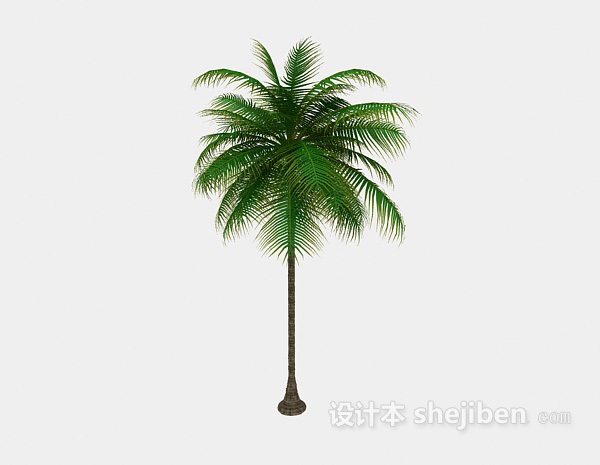 一株热带棕榈3d模型下载