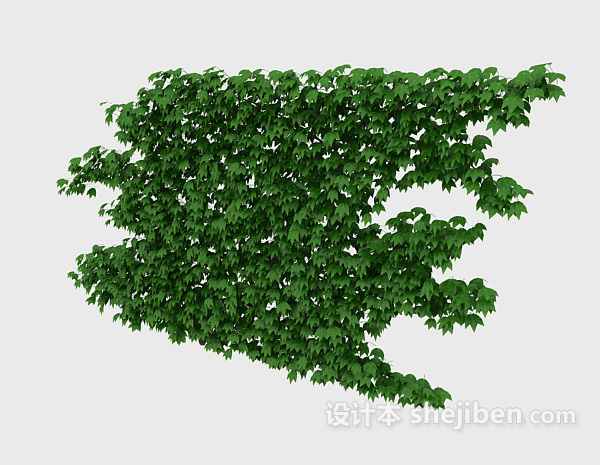 设计本藤植物3d模型下载