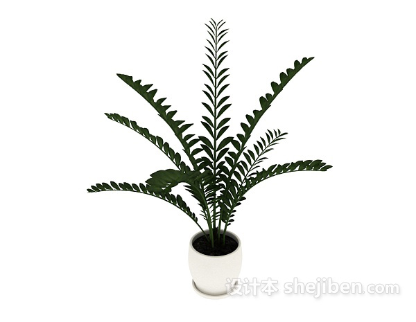 免费室内盆栽盆景绿色植物3d模型下载