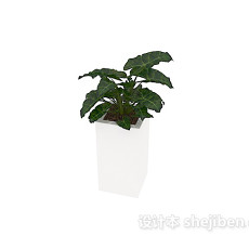 室内盆栽 3d模型下载