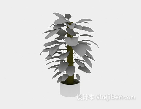 室内绿萝植物3d模型下载