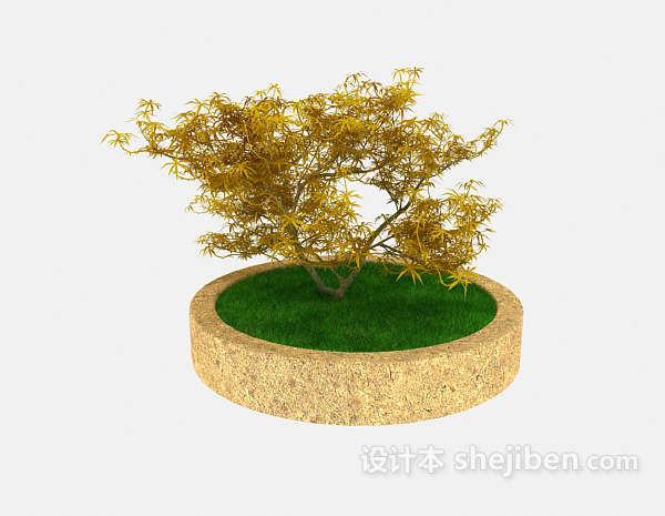 设计本室外盆栽绿植3d模型下载