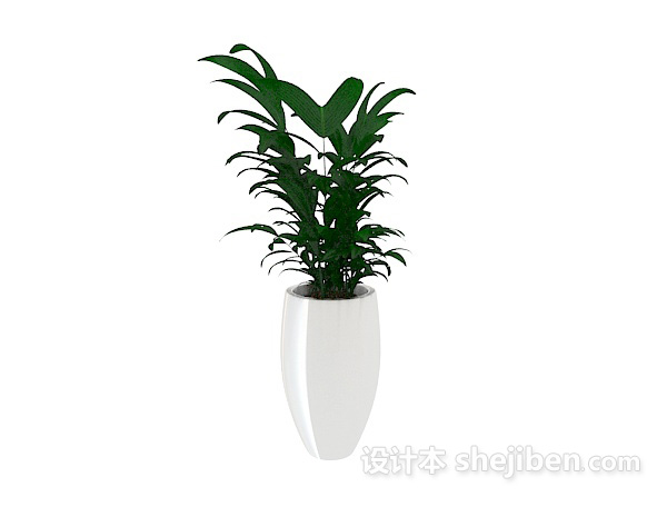 室内绿植 3d模型下载