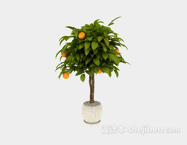 现代风格室内盆栽桔子树植物3d模型下载