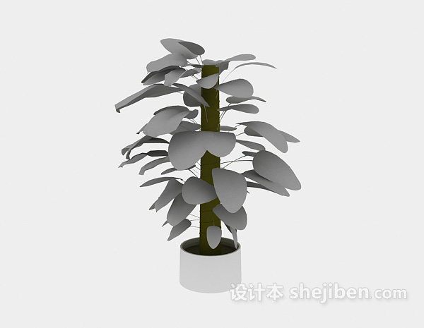 设计本室内绿萝植物3d模型下载