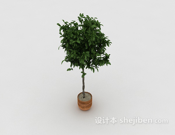 设计本植物3d模型下载