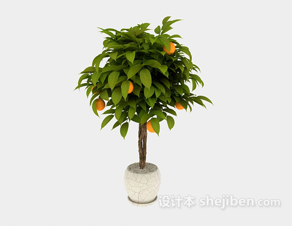 设计本室内盆栽桔子树植物3d模型下载