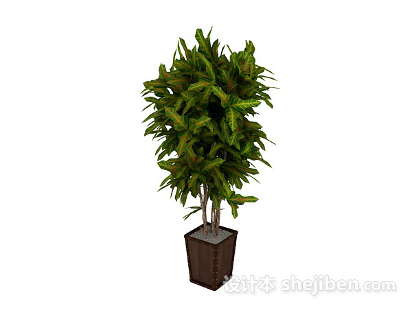 免费植物3d模型下载
