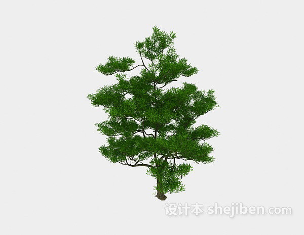 s树木3d模型下载