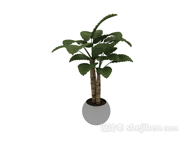 现代风格室内盆栽盆景绿色植物3d模型下载