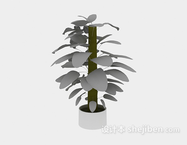 现代风格室内绿萝植物3d模型下载