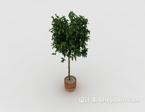 免费植物3d模型下载