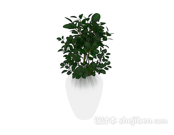 设计本室内装饰绿植 3d模型下载