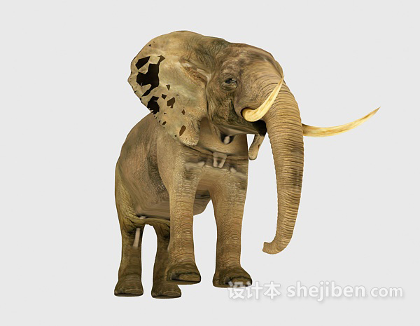现代风格泰国大象3d模型下载