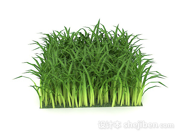 现代风格丛草植物3d模型下载