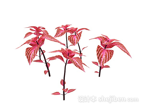 免费室外红色植物3d模型下载