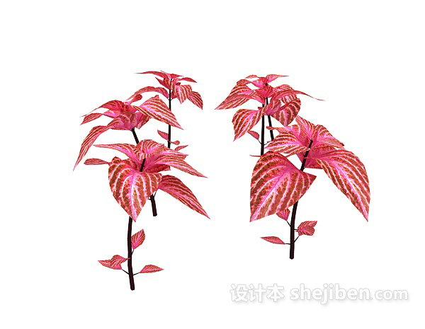 现代风格室外红色植物3d模型下载