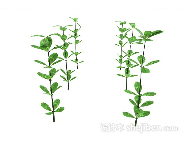 免费绿苗植物3d模型下载