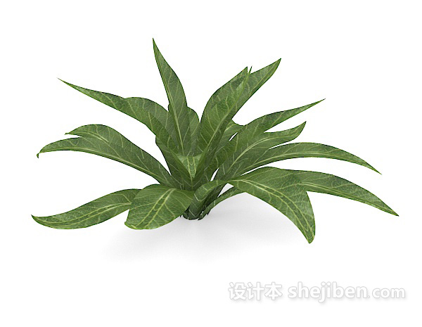 免费绿叶植物3d模型下载