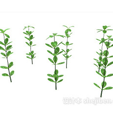 绿苗植物3d模型下载