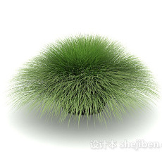 绿化植物3d模型下载