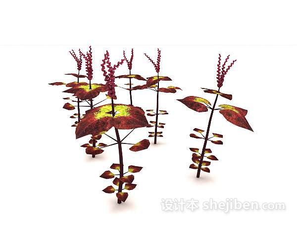 免费红叶植物3d模型下载
