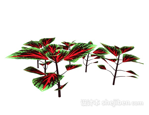 免费彩色叶植物3d模型下载