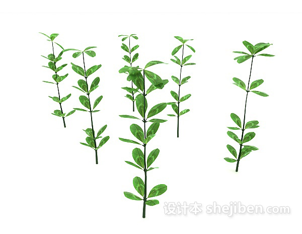 现代风格绿苗植物3d模型下载