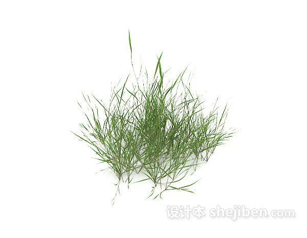 绿色野草3d模型下载